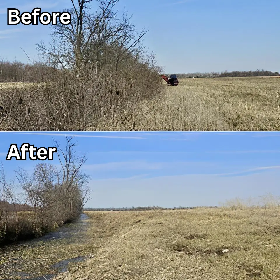 Excavation Project Before/After 1